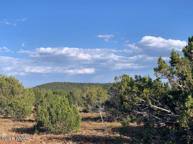 174 Co Road Show Low, AZ 85901 - Photo 3 of 13
