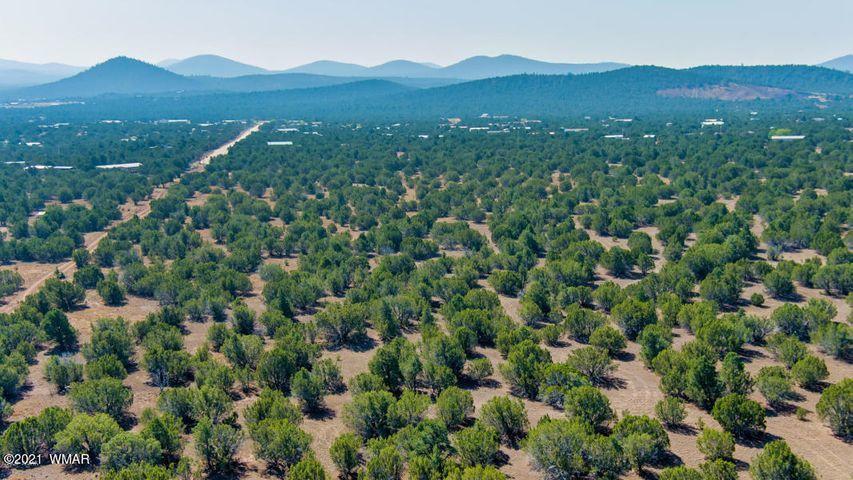 174 Co Road Show Low, AZ 85901 - Photo 4 of 13