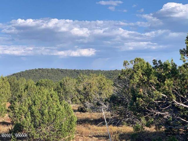 174 Co Road Show Low, AZ 85901 - Photo 5 of 13