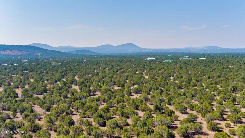 174 Co Road Show Low, AZ 85901 - Photo 6 of 13