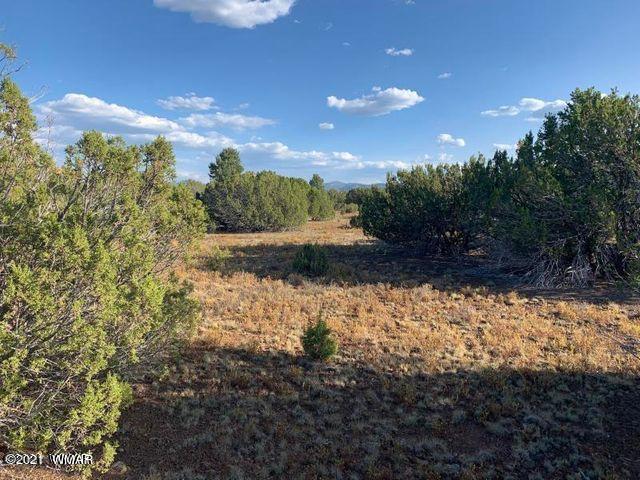 174 Co Road Show Low, AZ 85901 - Photo 7 of 13