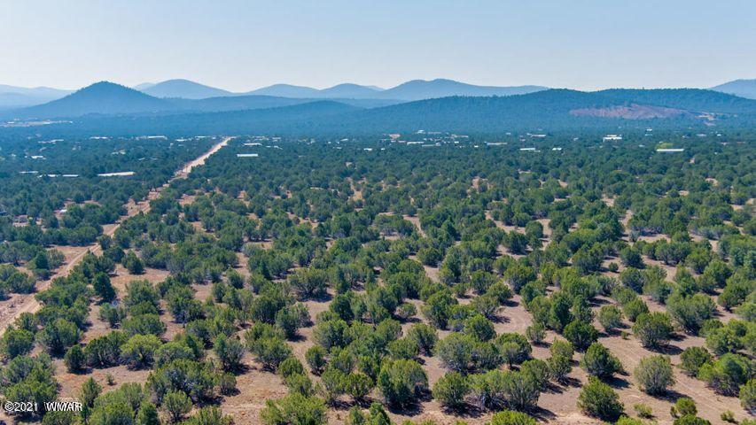 174 Co Road Show Low, AZ 85901 - Photo 8 of 13