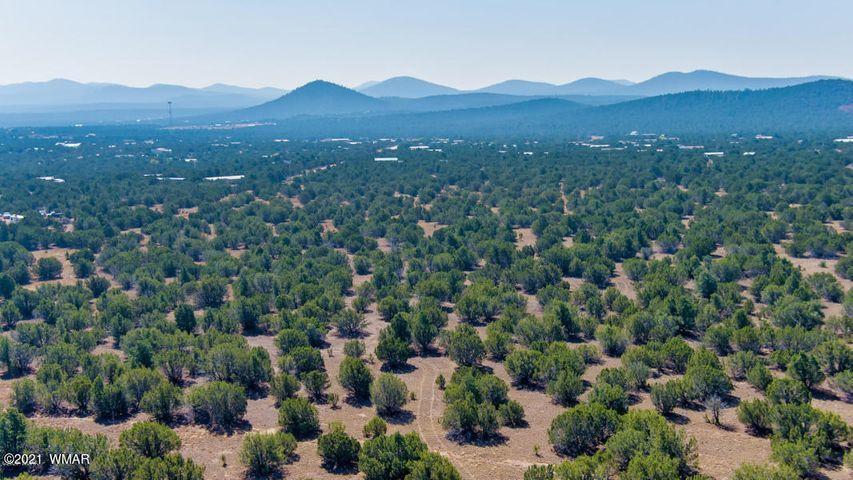 174 Co Road Show Low, AZ 85901 - Photo 9 of 13