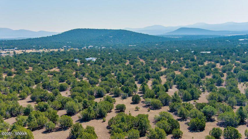 174 Co Road Show Low, AZ 85901 - Photo 10 of 13
