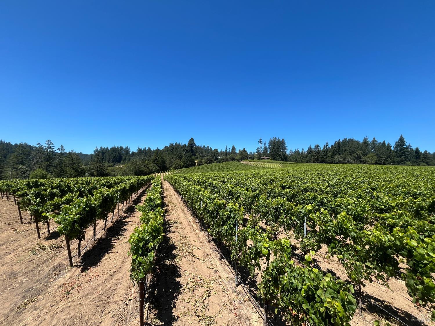 11480 Graton Road Sebastopol, CA 95472 - Photo 8 of 14