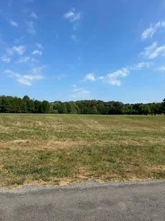 1 Quarry Road Benton, TN 37307 - Photo 10 of 13 Gallery Image 10