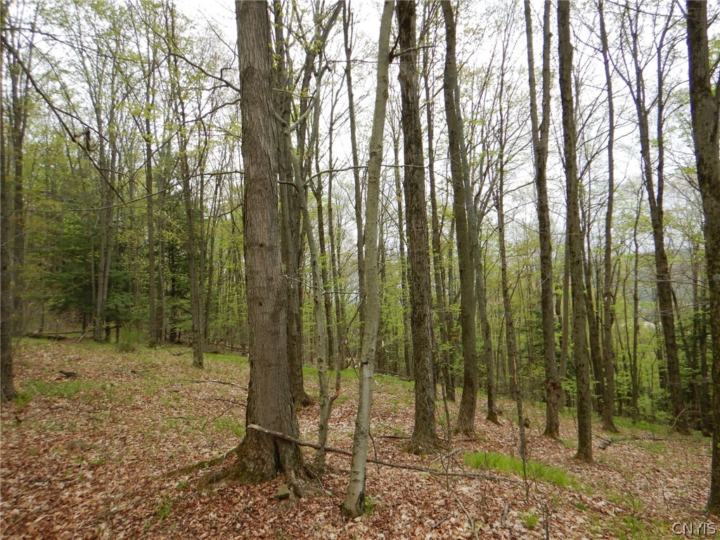 Wightman Road Wellsville, NY 14895 - Photo 40 of 45