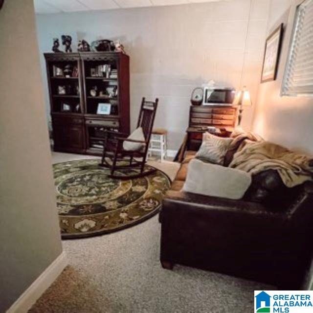 369 Pebble Beach Road Ashville, AL 35953 - Photo 45 of 72