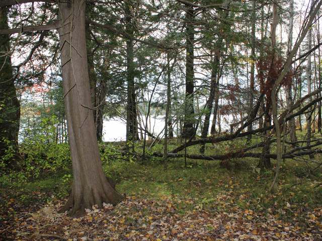 Lot 6 Sunset Point Road Tomahawk, WI 54487 - Photo 4 of 10 Gallery Image 4