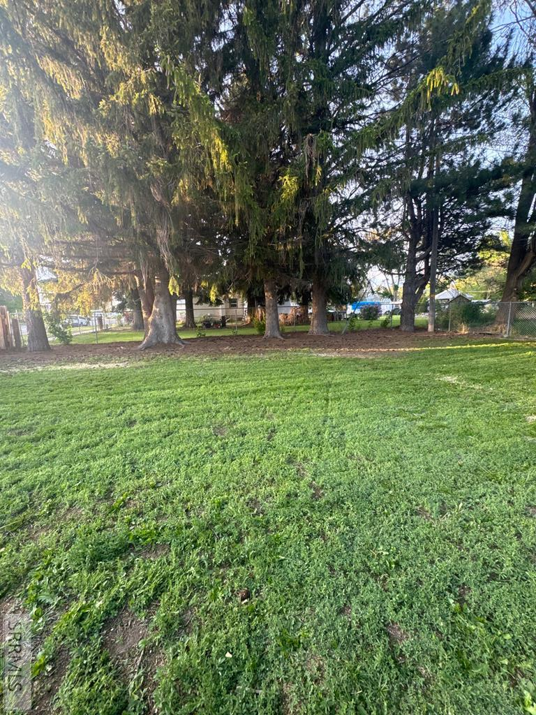 211 East Pine Street Shelley, ID 83274 - Photo 25 of 39 Summer Lawn..