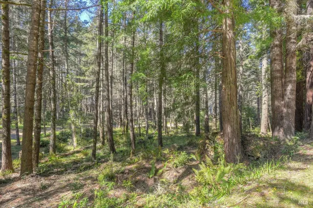 a backyard of a house with trees