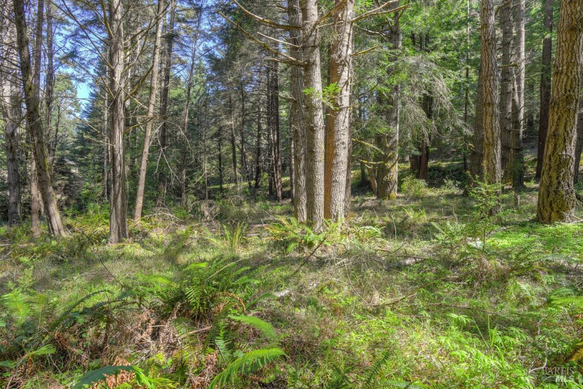 35205 Fly Cloud Road The Sea Ranch, CA 95497 - Photo 3 of 18