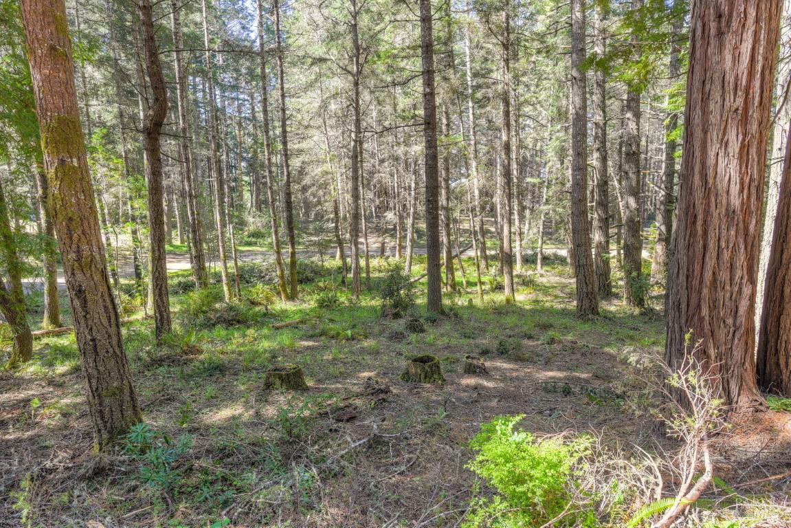 35205 Fly Cloud Road The Sea Ranch, CA 95497 - Photo 4 of 18 a view of a forest with trees in the background