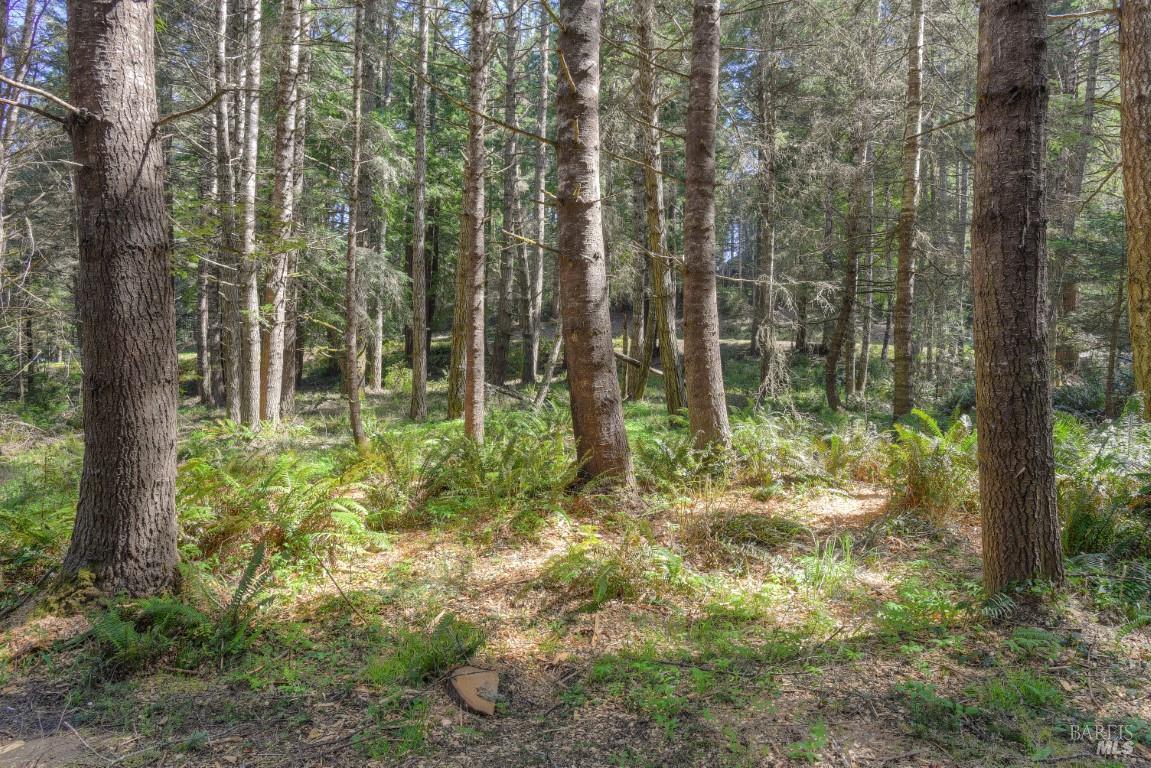 35205 Fly Cloud Road The Sea Ranch, CA 95497 - Photo 5 of 18 a view of outdoor space and green space