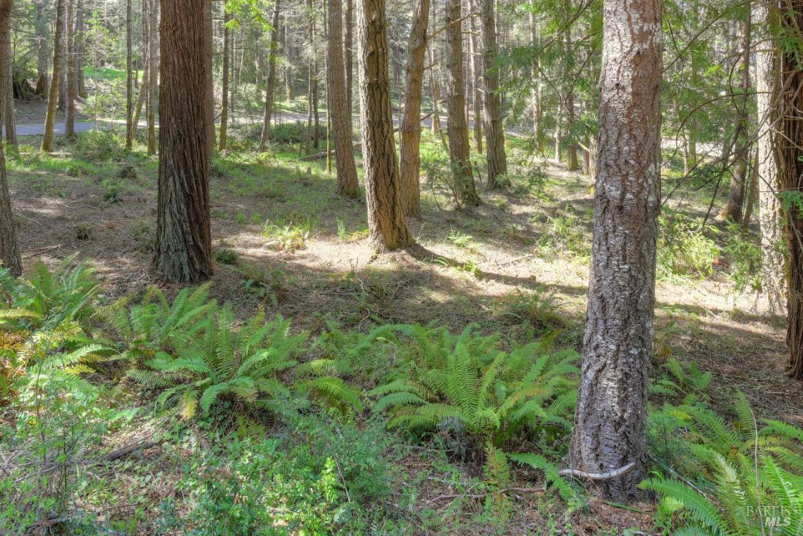 35205 Fly Cloud Road The Sea Ranch, CA 95497 - Photo 6 of 18 a view of backyard with green space