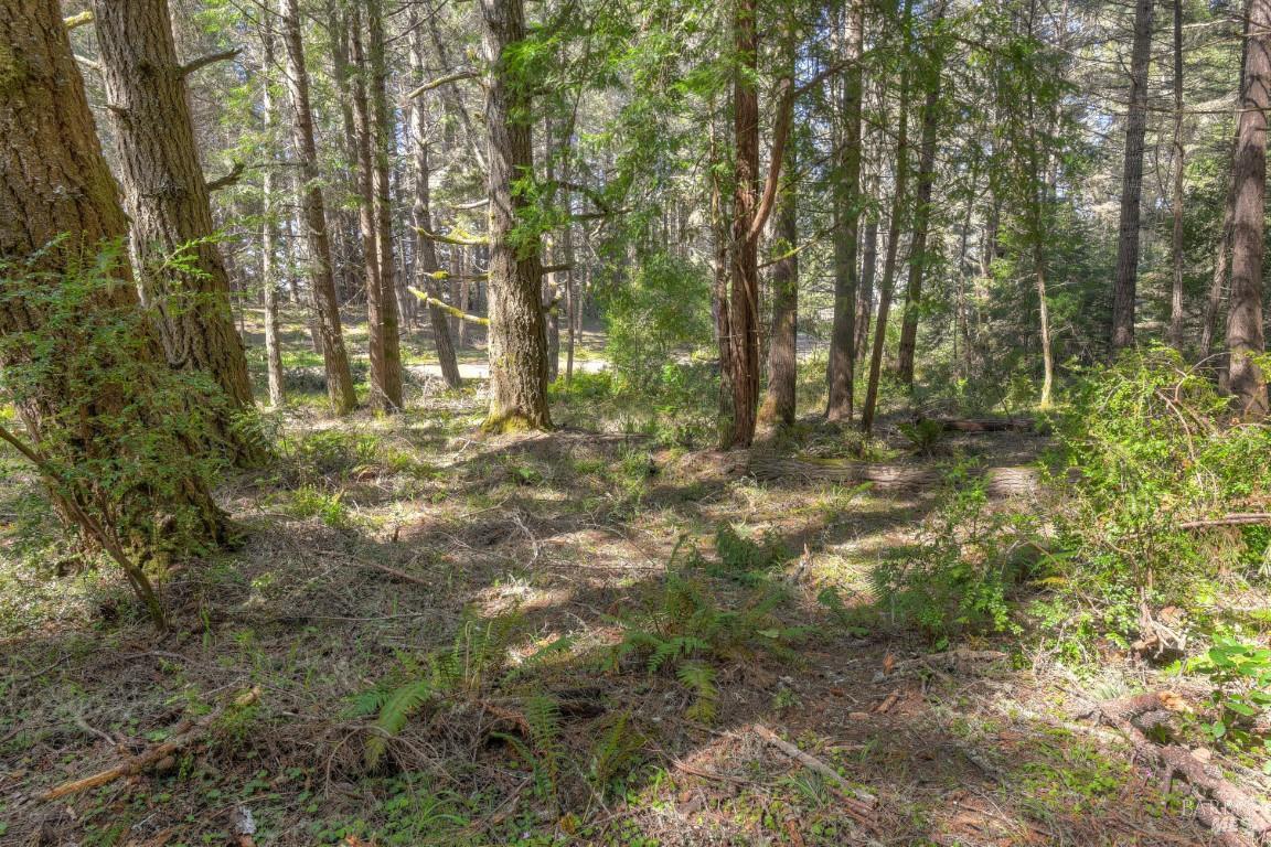 35205 Fly Cloud Road The Sea Ranch, CA 95497 - Photo 8 of 18 a view of outdoor space and yard