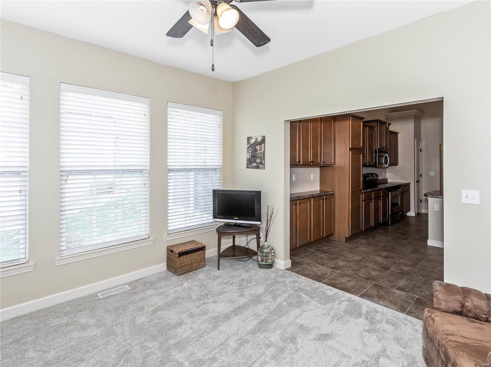 127 Briar Ridge Maryville, IL 62062 - Photo 17 of 44 Gallery Image 17