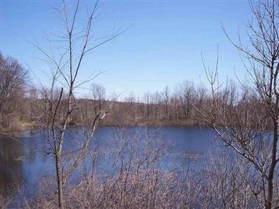 8342 State Davison, MI 48423 - Photo 3 of 6 20292861-2.JPG