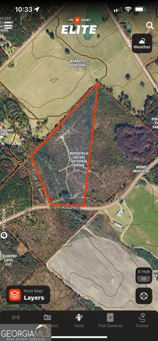 a view of a lush green forest with lots of trees