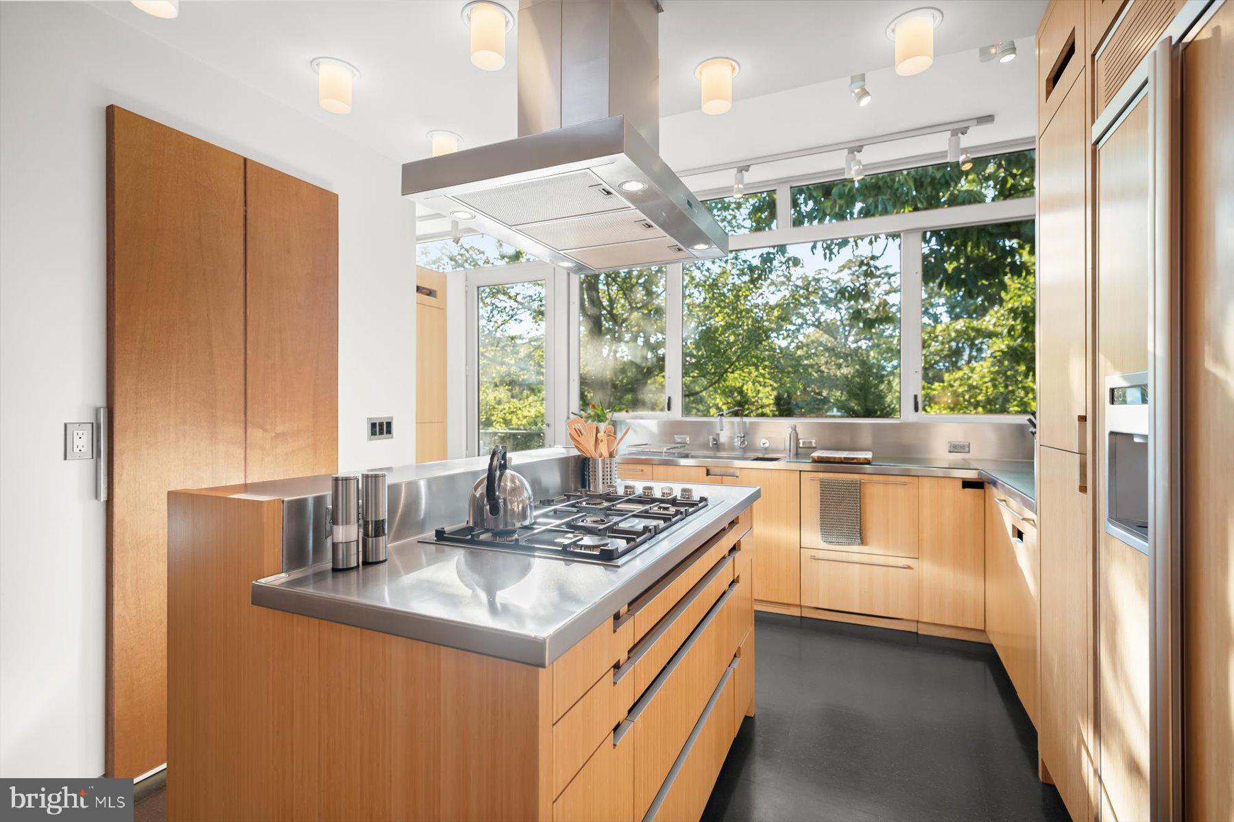 2533 North Ridgeview Road Arlington, VA 22207 - Photo 14 of 93 Custom Kitchen with cooktop and sleek modern hood.