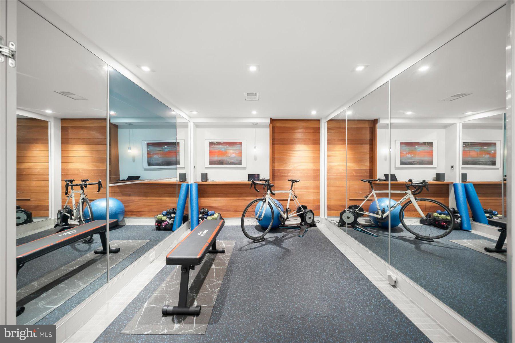 2533 North Ridgeview Road Arlington, VA 22207 - Photo 63 of 93 Exercise room with hidden TV