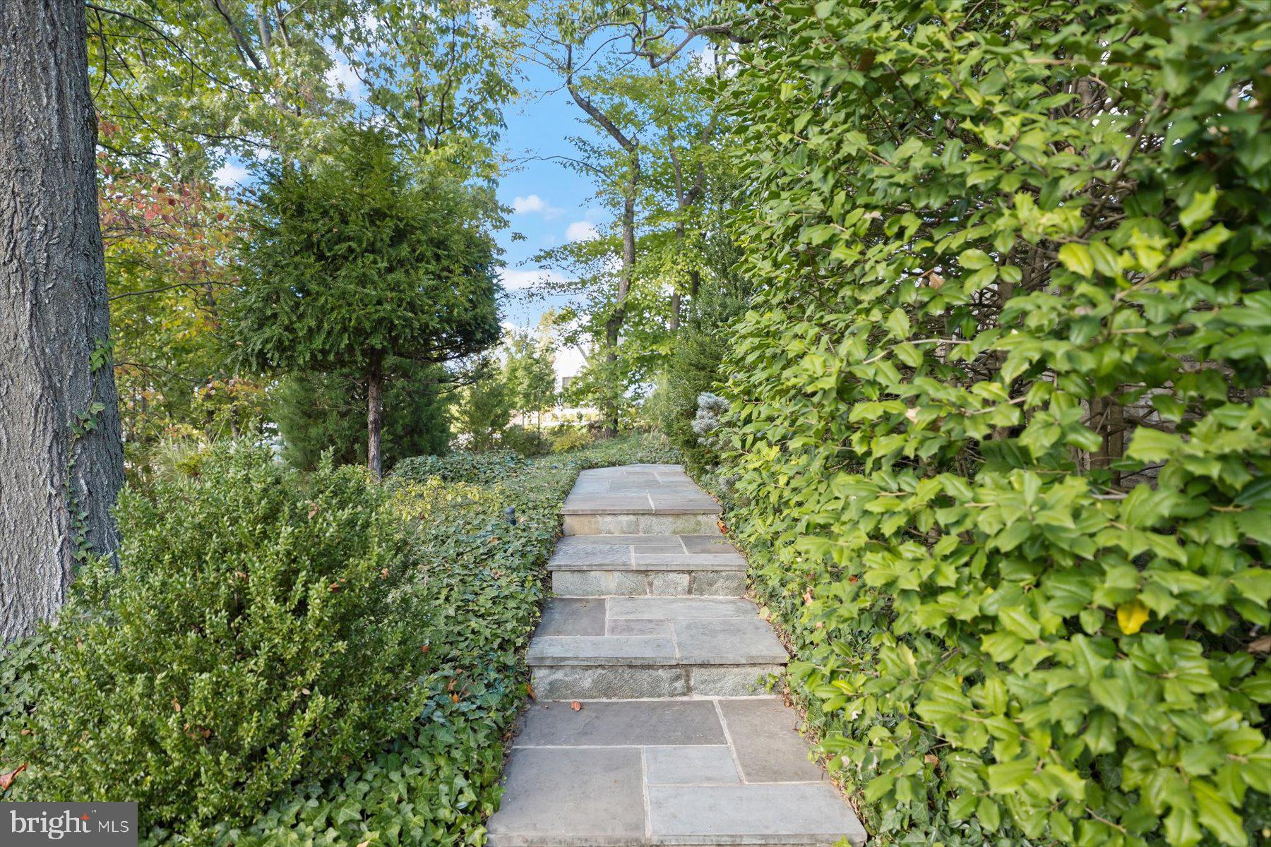 2533 North Ridgeview Road Arlington, VA 22207 - Photo 88 of 93 Landscaped pathways
