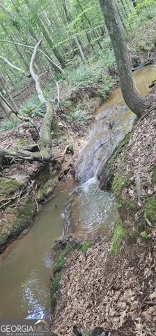 a view of a lake with mountain