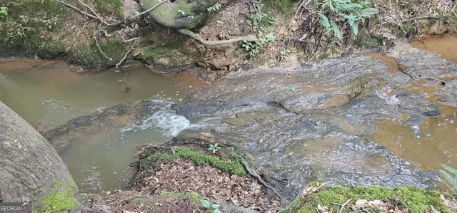 a view of a lake from a yard