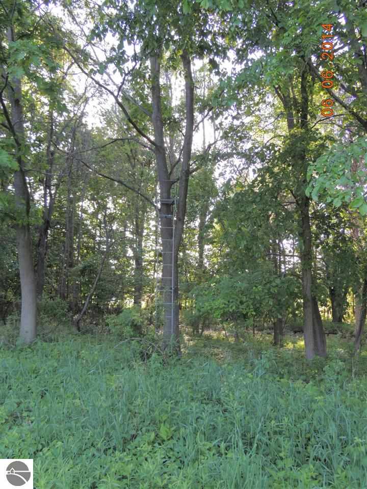 3070 South Warner Road Middleton, MI 48856 - Photo 18 of 36 1785781-17.JPG