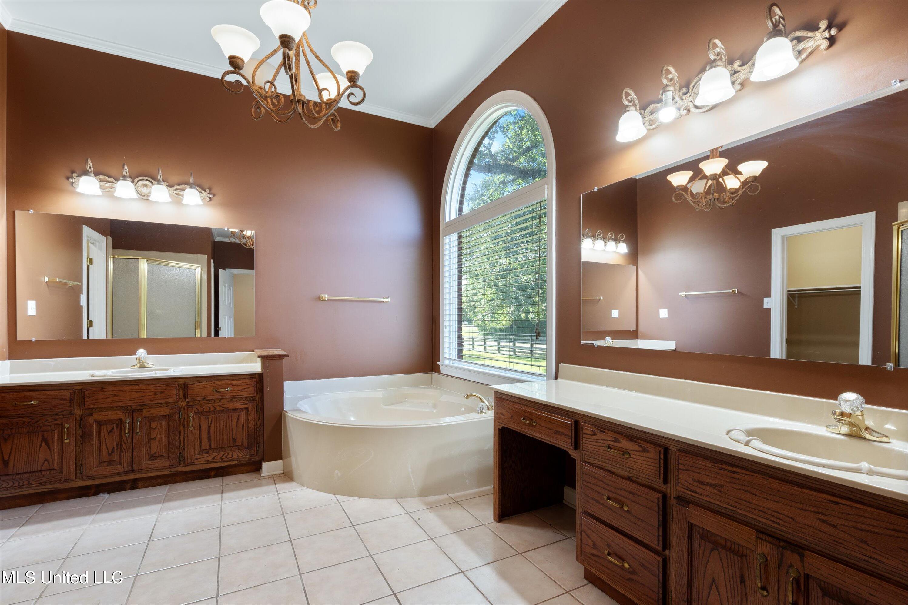 42 Tara Road Holly Springs, MS 38635 - Photo 18 of 47 18-Primary Bathroom