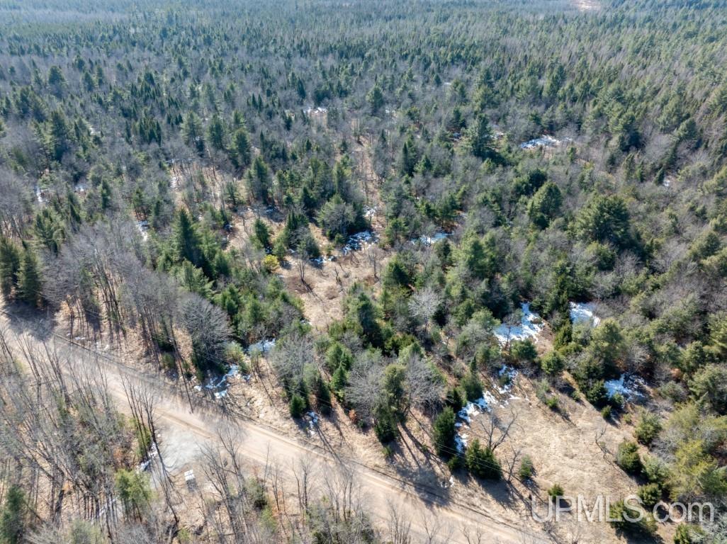 Tbd Dd Road Wetmore, MI 49895 - Photo 13 of 22