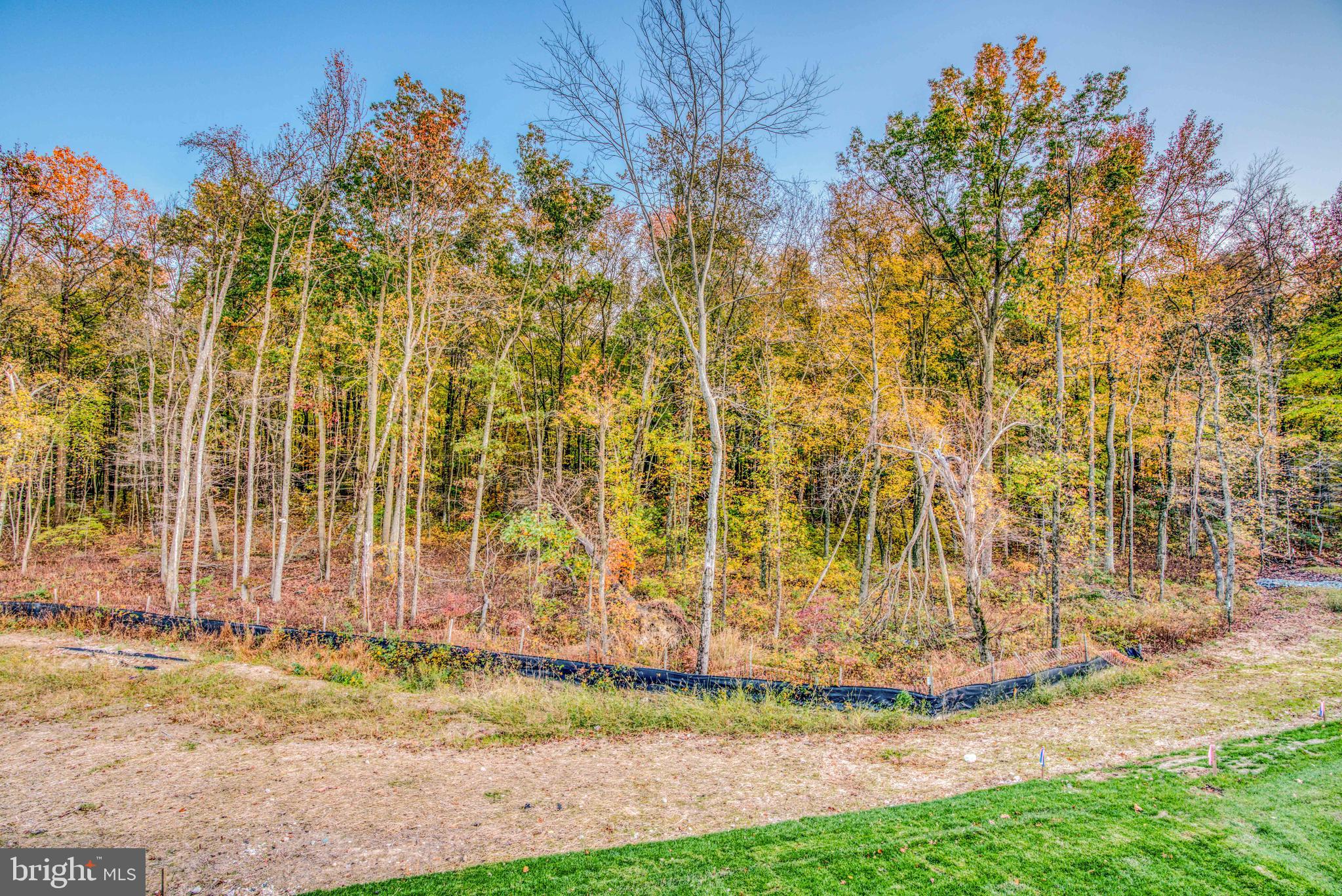 9813 Ravenhurst Road Middle River, MD 21220 - Photo 55 of 56