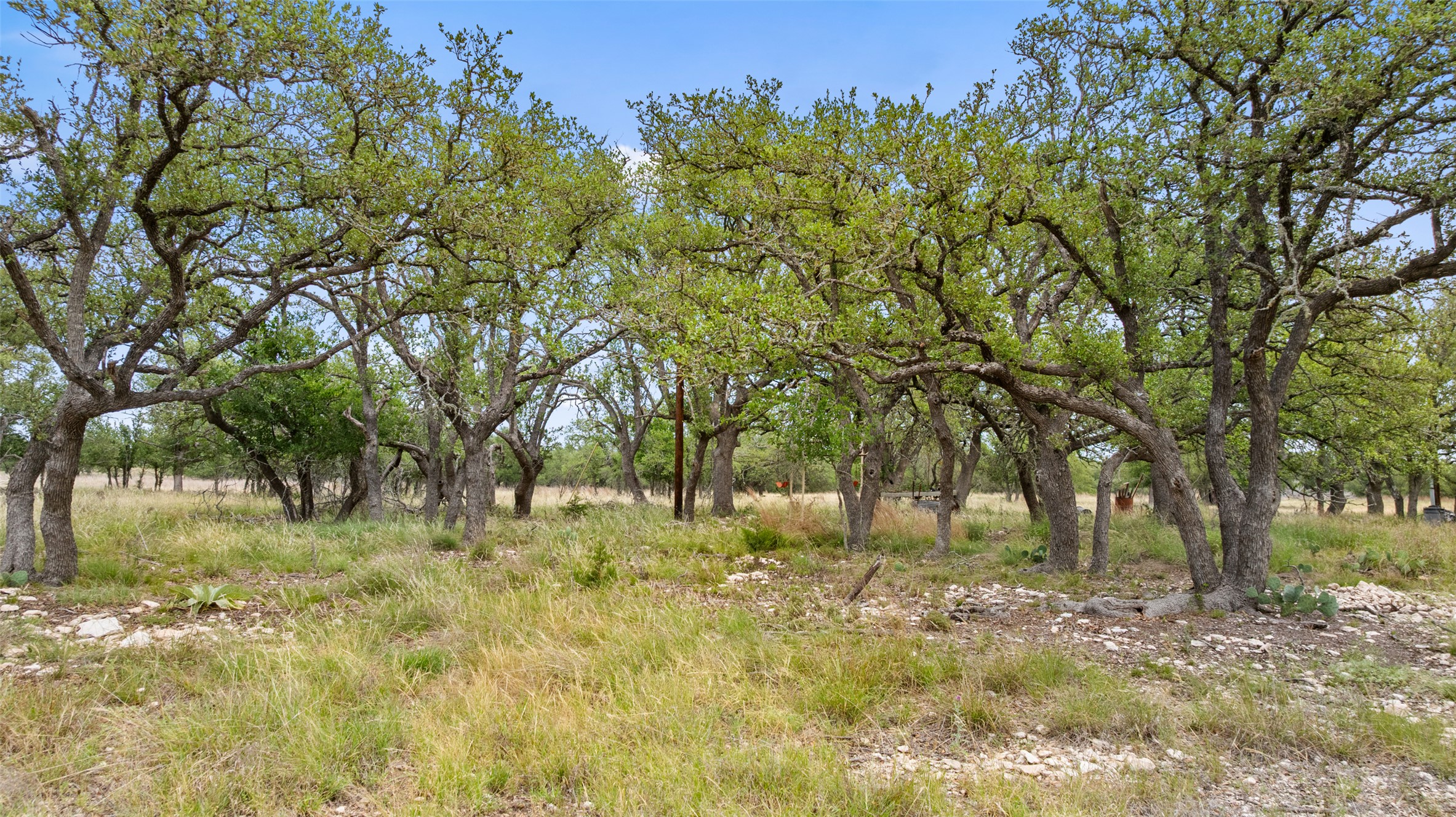 65 Miles Lane Harper, TX 78631 - Photo 17 of 27 a backyard of a house with large trees