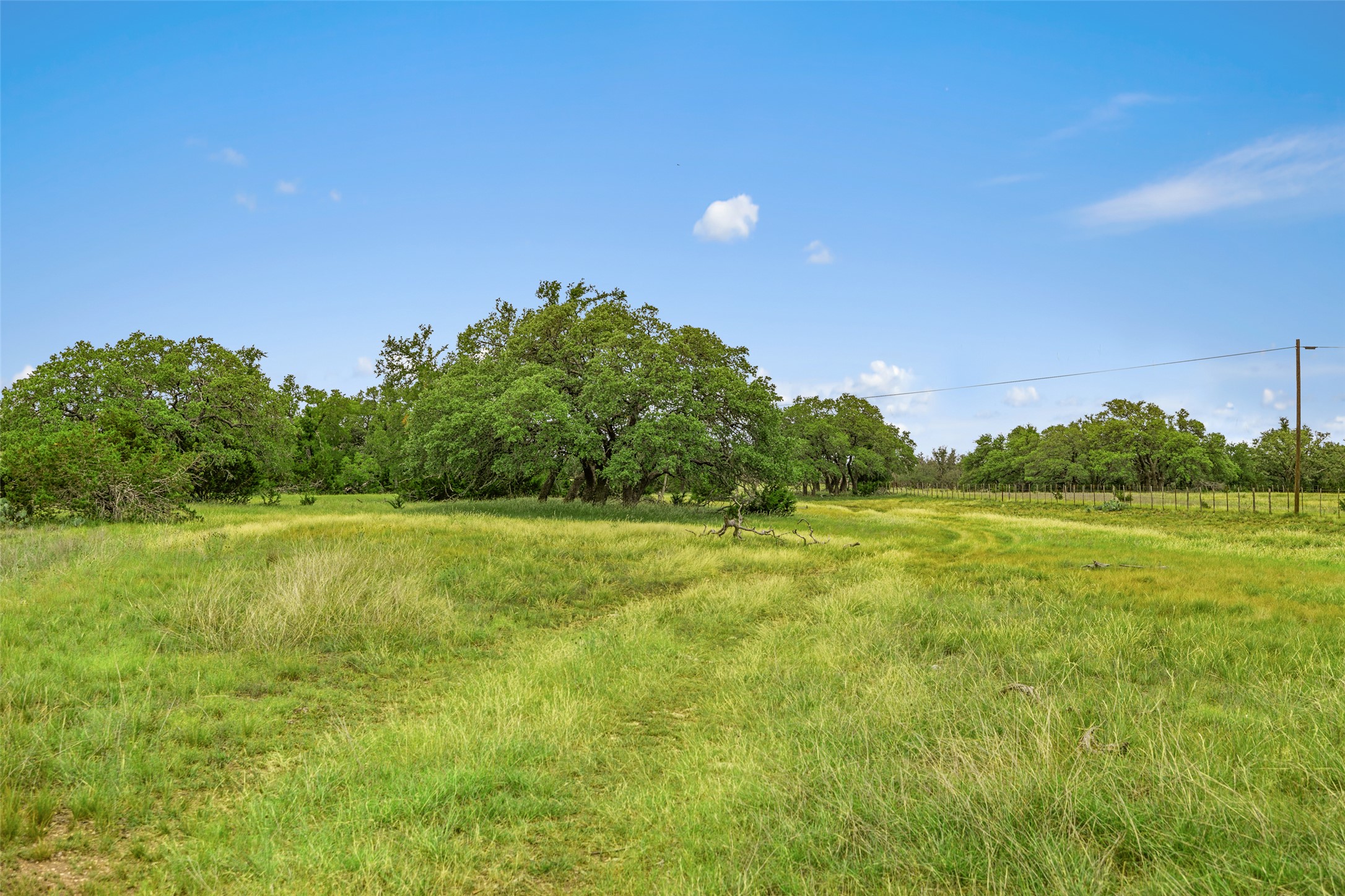 65 Miles Lane Harper, TX 78631 - Photo 18 of 27 a view of an outdoor space and a yard