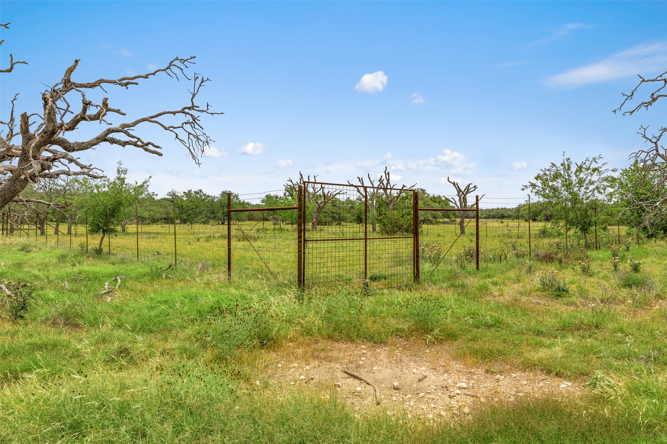 65 Miles Lane Harper, TX 78631 - Photo 20 of 27 a view of a park