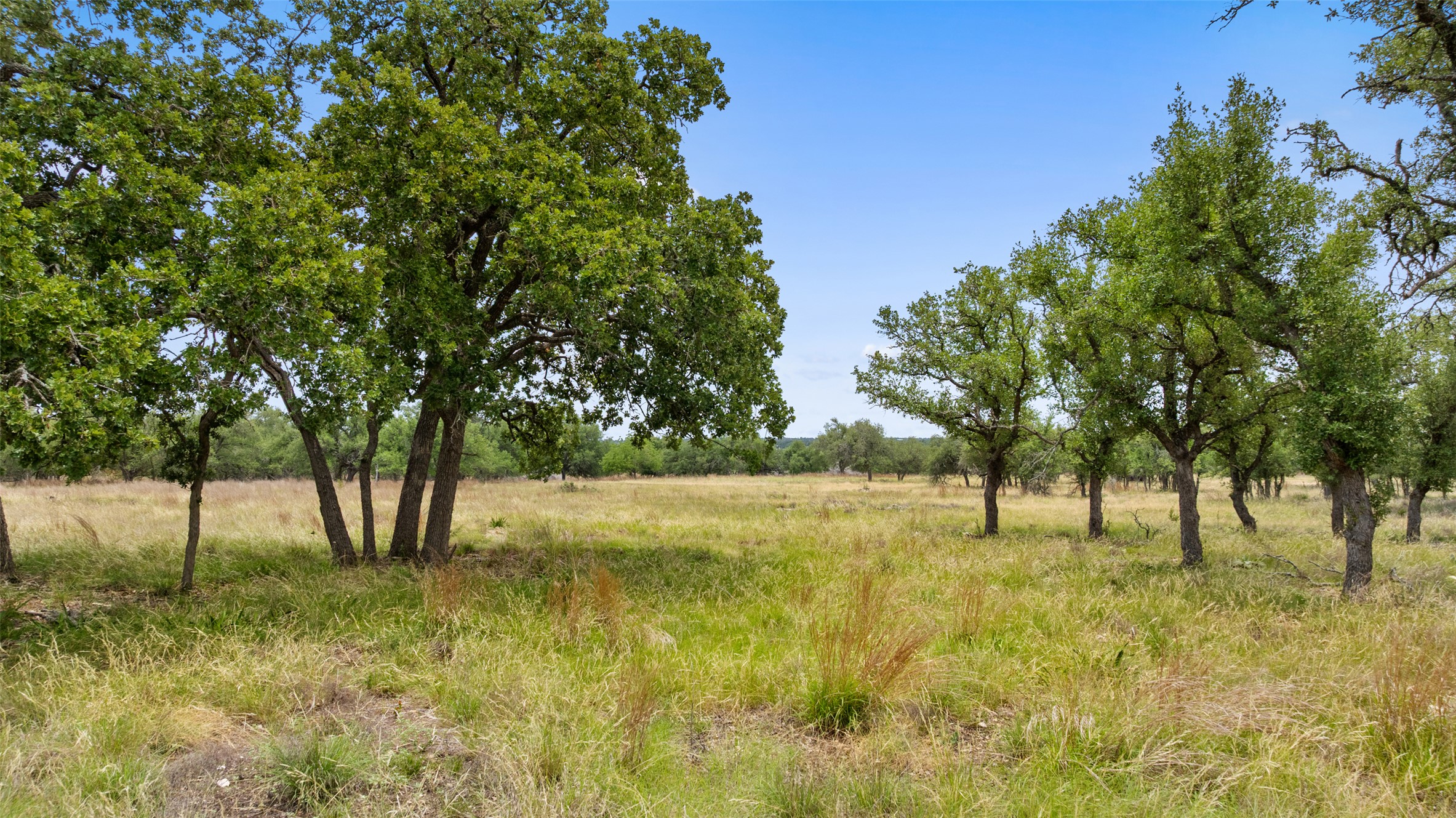 65 Miles Lane Harper, TX 78631 - Photo 22 of 27 a view of yard with trees
