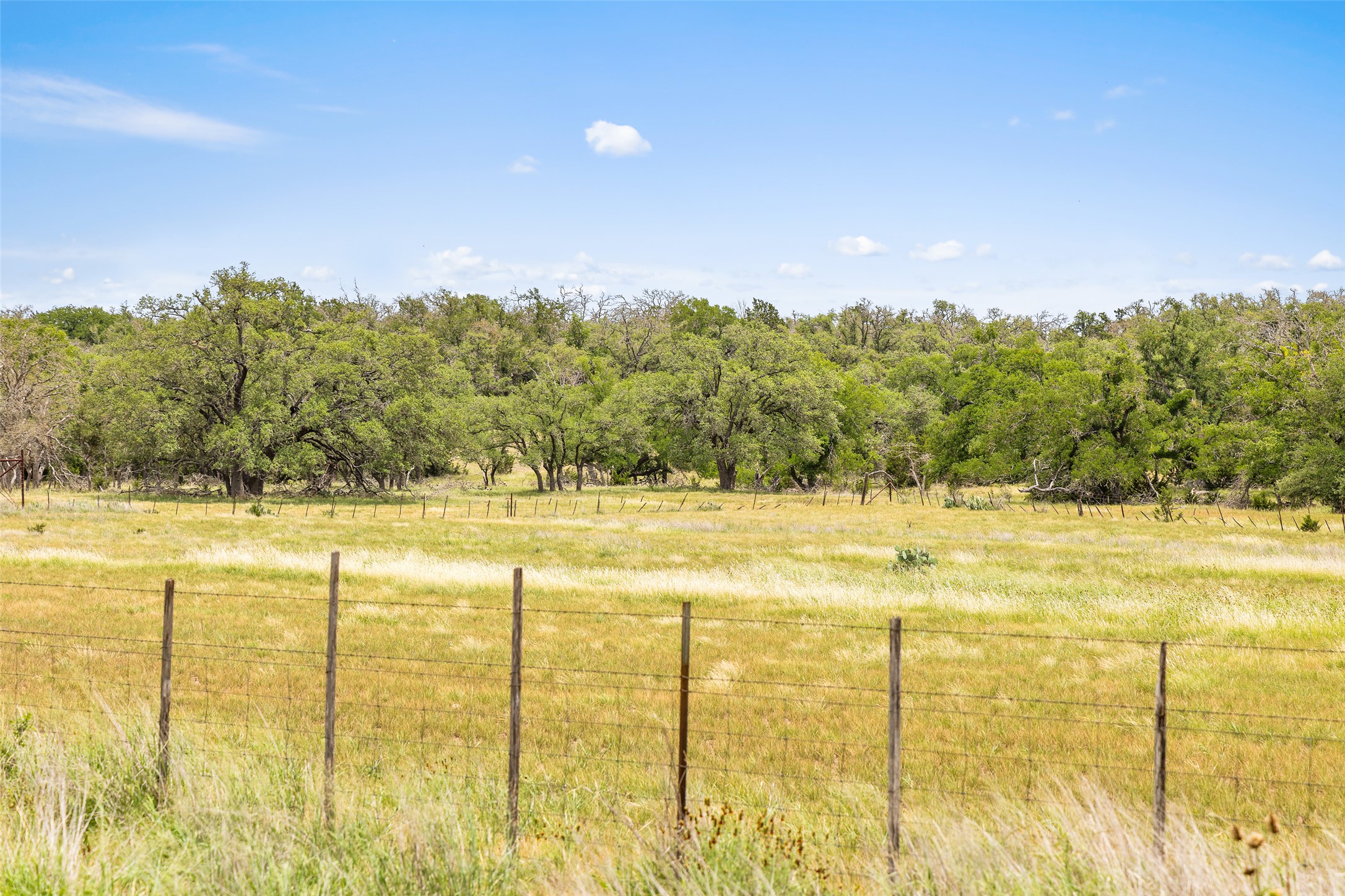65 Miles Lane Harper, TX 78631 - Photo 24 of 27 a view of an ocean and beach