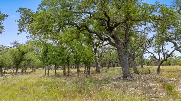 $3,890,000 | 65 Miles Lane, Harper, TX 78631