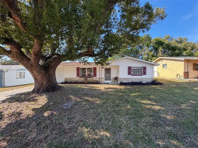 a house view with a backyard space