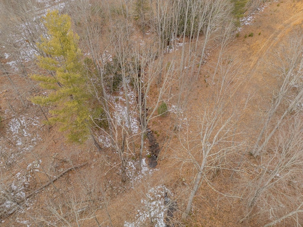 Tbd Spur Branch Road, Unit 4 Dublin, VA 24084 - Photo 67 of 85 Gallery Image 67