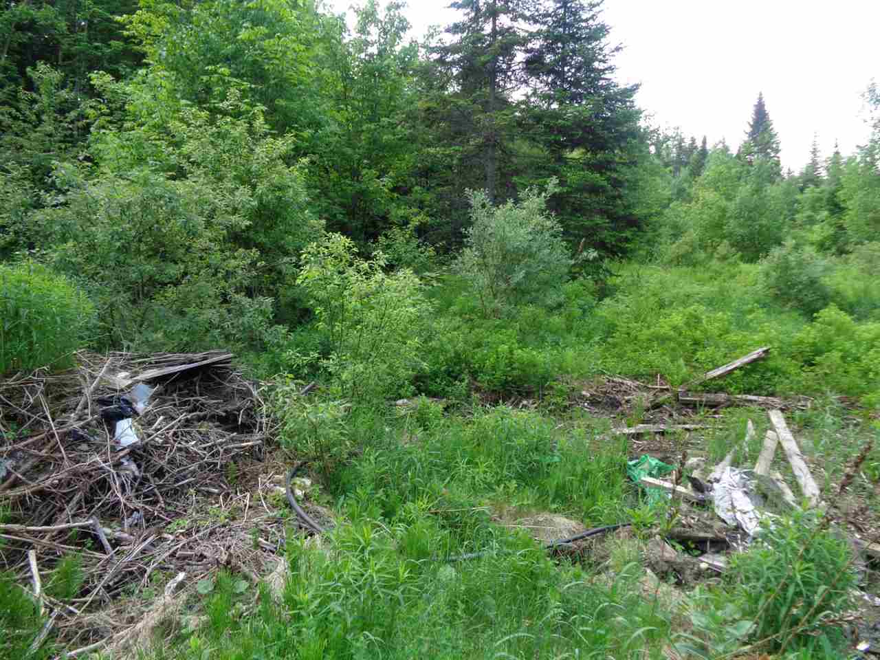 1876 Hartwell Pond Road Glover, VT 05875 - Photo 28 of 28