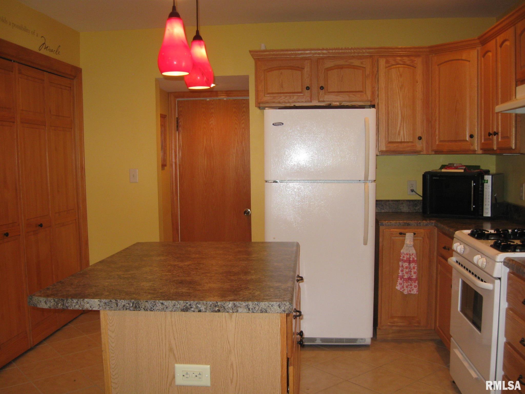 533 East Main Street Rochester, IL 62563 - Photo 4 of 19