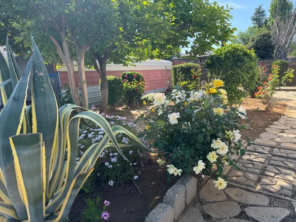 a view of a flower arrangement in backyard