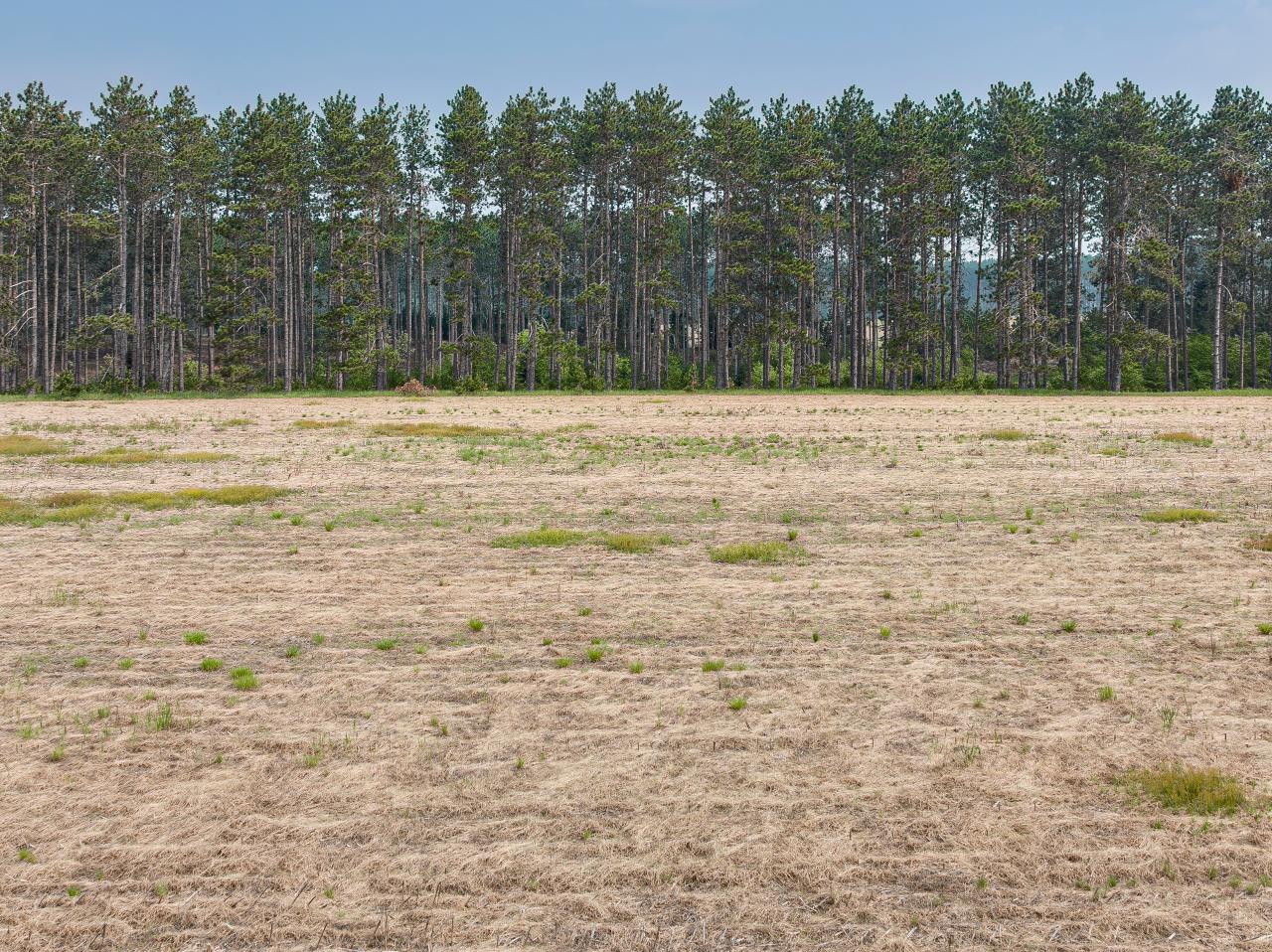 Lot 5 Cth C Rhinelander, WI 54501 - Photo 6 of 7 Gallery Image 6