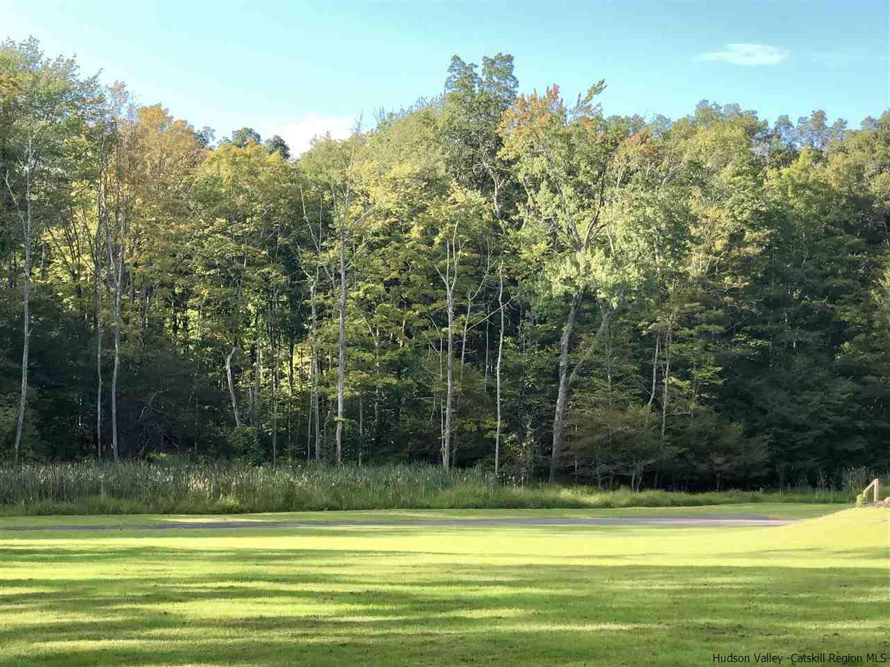 190 Buck Road Stone Ridge, NY 12484 - Photo 2 of 33 a view of a swimming pool and a yard