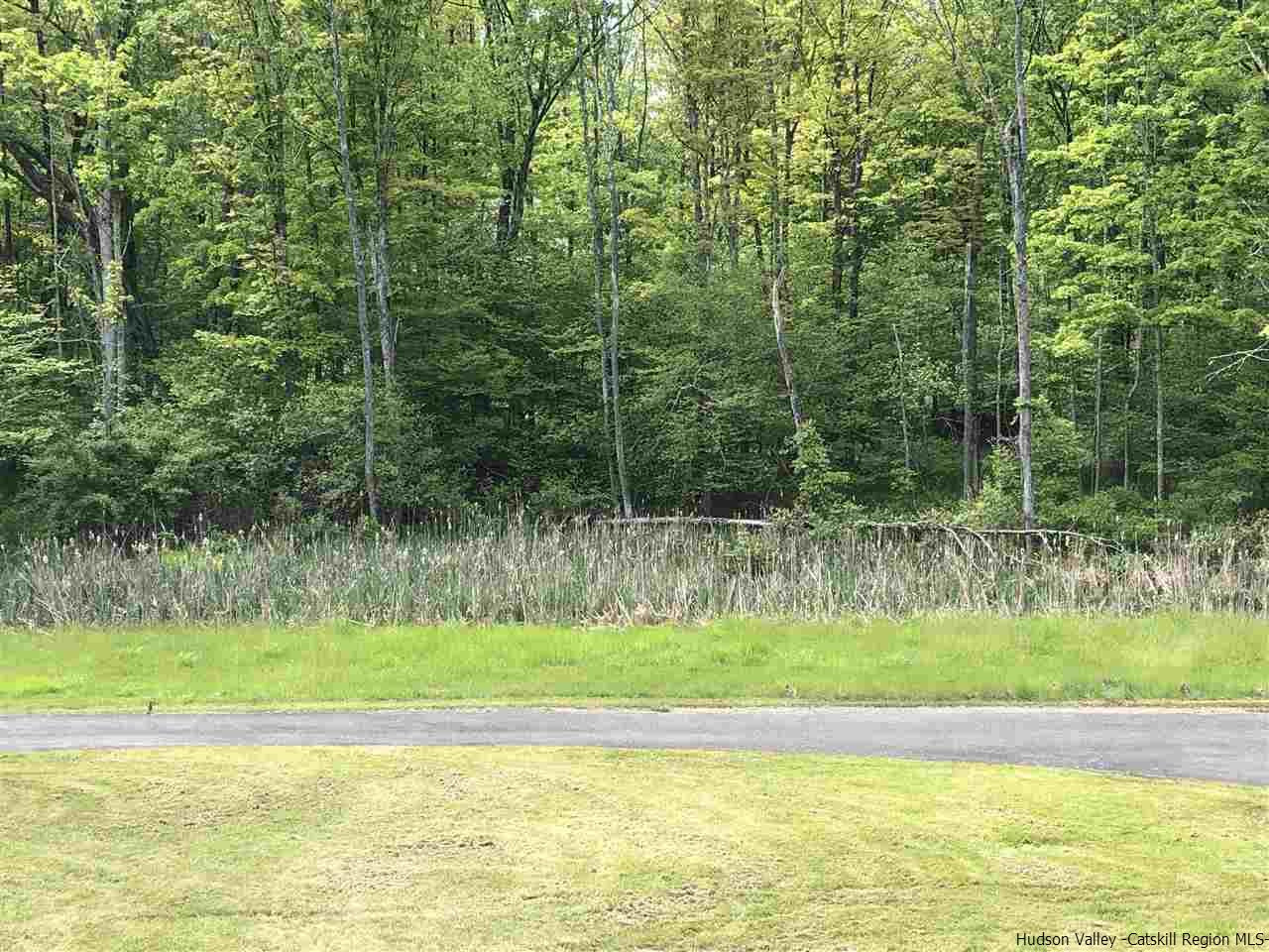 190 Buck Road Stone Ridge, NY 12484 - Photo 26 of 33 a view of a yard with a trees