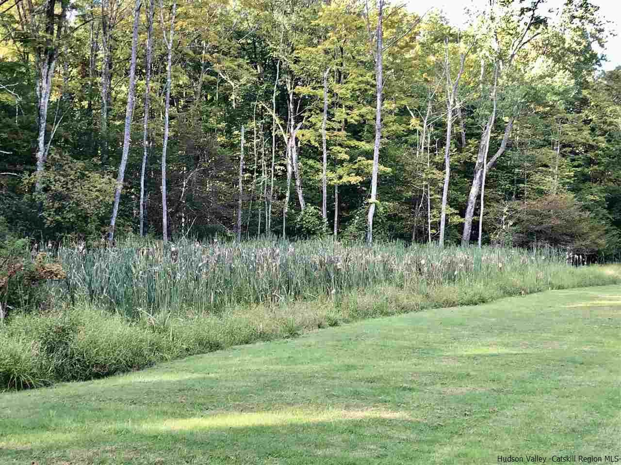 190 Buck Road Stone Ridge, NY 12484 - Photo 28 of 33 a view of outdoor space and green field