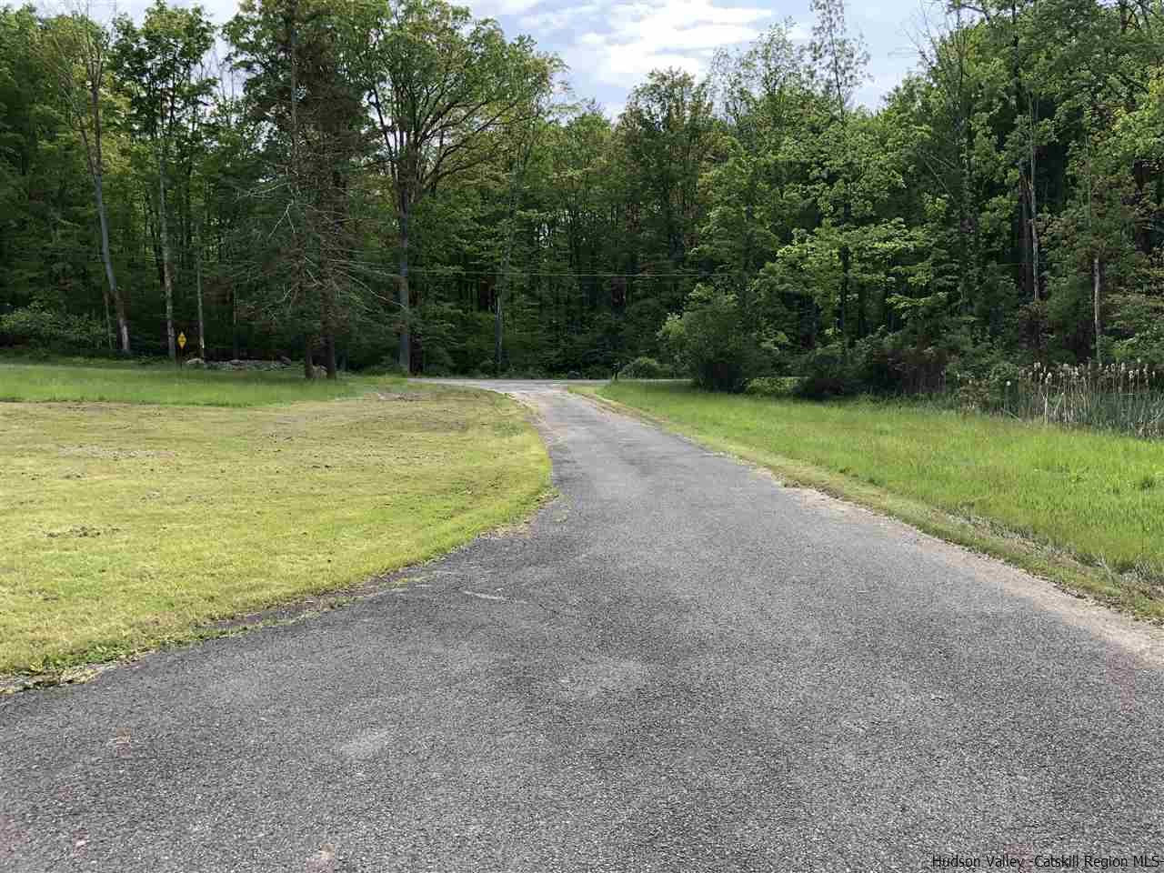 190 Buck Road Stone Ridge, NY 12484 - Photo 3 of 33 a view of a field with a trees in the background