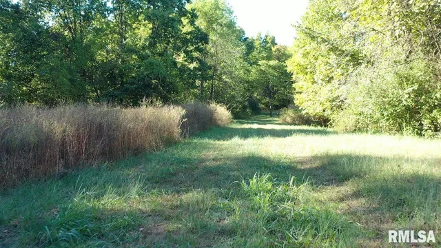 $364,800 | 0 Forest Road, Ava, IL 62907