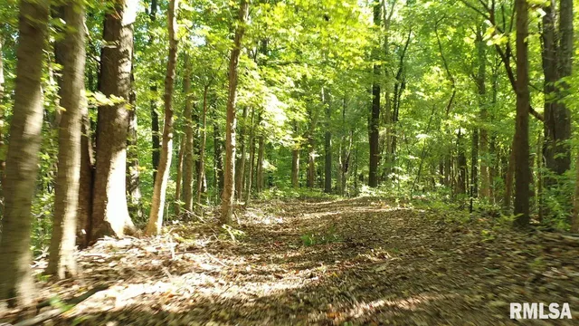 $364,800 | 0 Forest Road, Ava, IL 62907